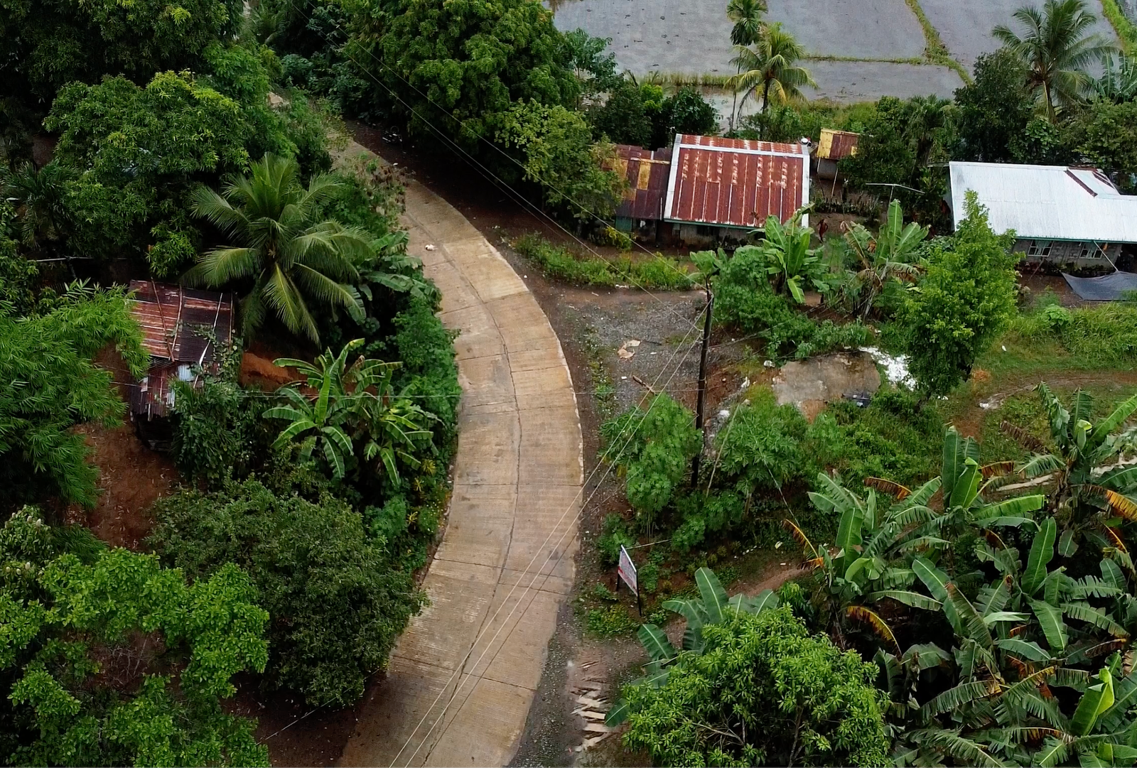 Environmental Sustainability Program